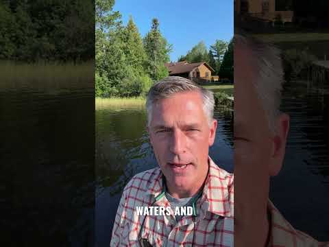 I'm in Northern Minnesota to look at the Boundary Waters.