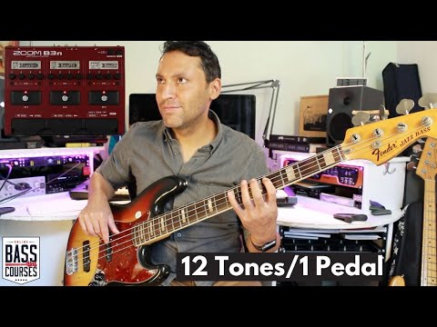 12 Famous Bass Tones, 1 Cheap Bass Effects Pedal (Zoom B3N)