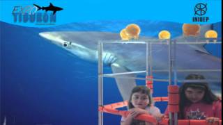 DIA 3 Expo Tiburon12