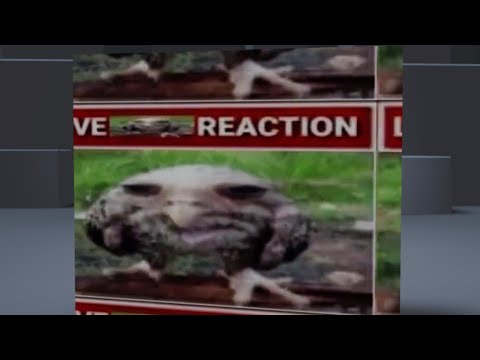 how to make a GOOFY wet owl box outfit (Roblox) (WARNING: not cheap)