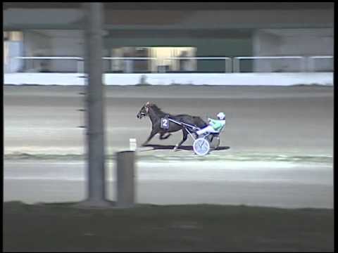 Trotto 09/12/2014 - 2° prova di riqualifica