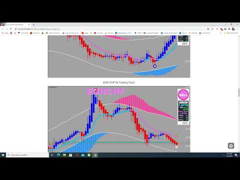 Forex Digital Vega Strategy