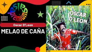 🔥MELAO DE CAÑA por OSCAR D&#39;LEON - Salsa Premium