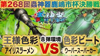 【蟲神器】第８弾環境『第268回鹿嶋市杯決勝戦』アイリスラーメンVSウーパースーパーカー『王様色彩VS色彩ビート』『オウサマミツギリゾウムシ、オオルリタマムシ』