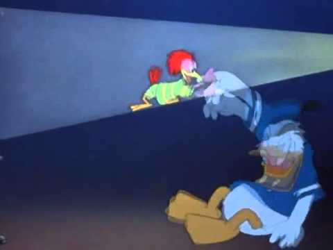 O canto do Aracuã   Você Já Foi à Bahia