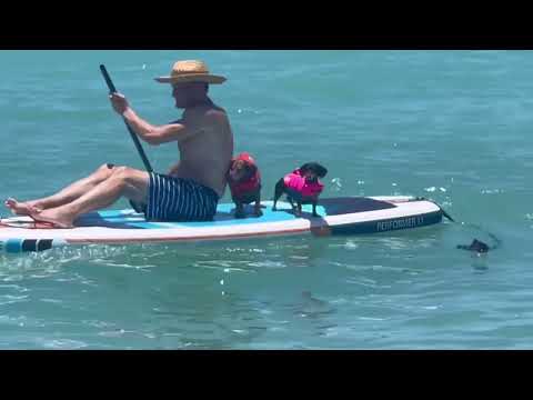 Brohard Park Beach Day, Venice, Florida, 6/5/22