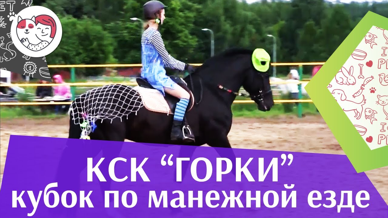 Летний кубок КСК Горки по манежной езде КЮР часть 28 на ilikepet