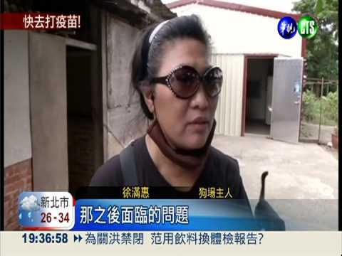 狂犬病死灰復燃! 疫苗優先自費打