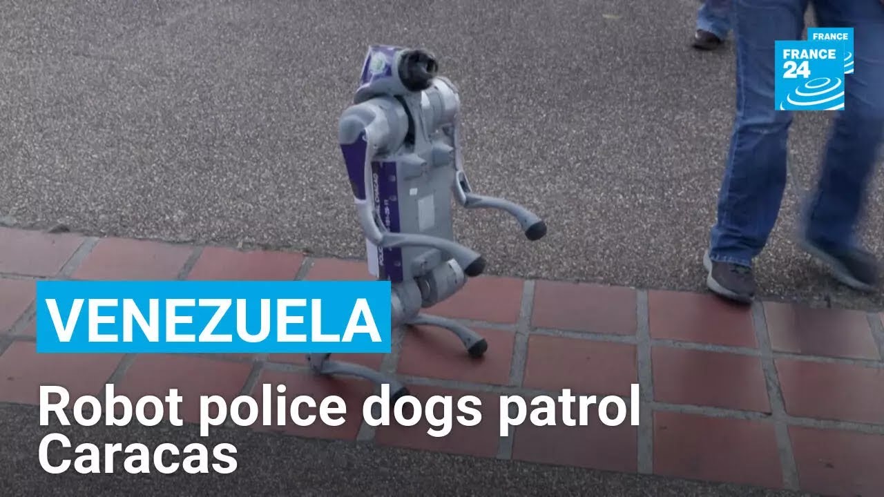 Venezuela: The robot dogs policing the streets of Caracas • FRANCE 24 English