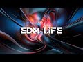 EDM Bella Ciao Hardwell Maddix Remix