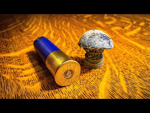 World's HEAVIEST SLUG with Taofledermaus