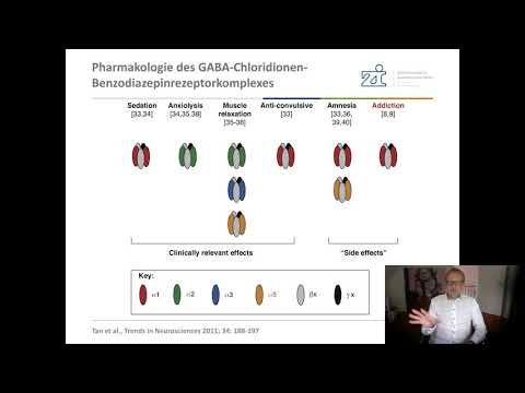 Psychopharmakologie Sommersemester 2020 - Modul 6 (Tranquilizer und Hypnotika)