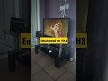 Enchanted On VHS
