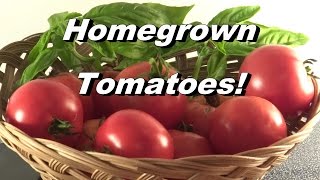 Homegrown Tomatoes! Just for Fun! Enjoy! :) John Denver / Guy Clark