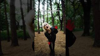 “waterfall” by your fave irish emo rock band greywind 🇮🇪🖤🥀 #emo #newmusic #2000srock #mcr