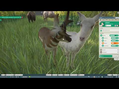 Planet Zoo| Pronghorn Antelope Mating in Game