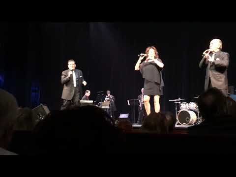 Emil Stucchio and the Classics   Rock and Roll is here to stay