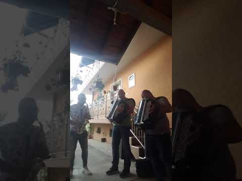 Orkestar Dejana LJubomirovica🔊 I Mihajlo Antonijevic