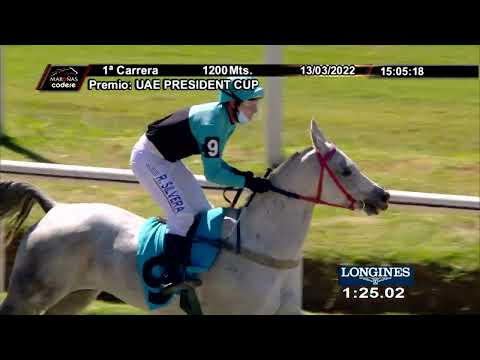 220313 c01 S INTISAAR