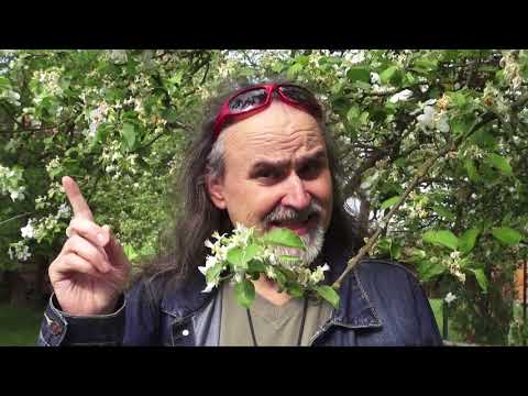 Milan Princ - Milan Princ & Petr Hejna - Poslední album (oficiální video z alb