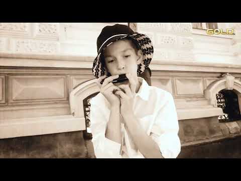 Alfi Nipič - Deček z orglicami (Official video)