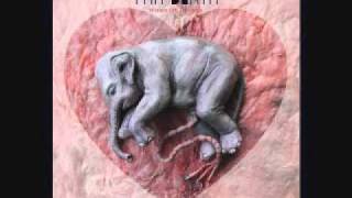 Fan Death - Reunited