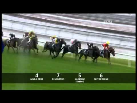 2010 LKS Mackinnon Stakes - So You Think