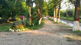 preview picture of video 'Changa Manga forest park, national forest of Pakistan'