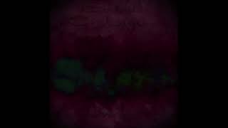Download lagu Óákveðið - Sounds Of Limbo (Full Album) mp3