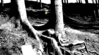 Broken Social scene music vid