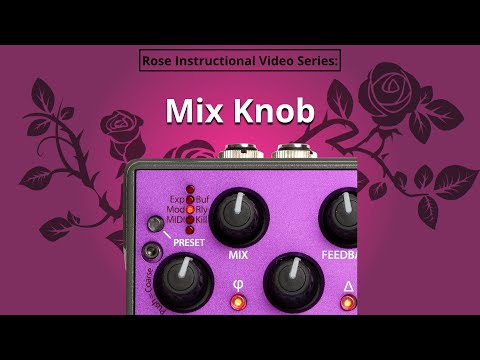 Eventide Rose Delay Effect Pedal | Sweetwater Eventide Rose Delay Effect Pedal | Sweetwater