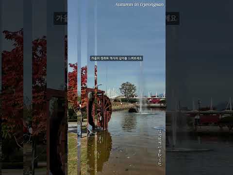 (기대 이상) 가을 경산을 물들이다