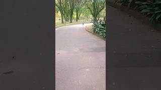 Download lagu Parque Ibirapuera -SP. Um dos parques Urbanos mais procurados do estado de São Paulo. #shorts mp3 Download lagu Parque Ibirapuera -SP. Um dos parques Urbanos mais procurados do estado de São Paulo. #shorts mp3