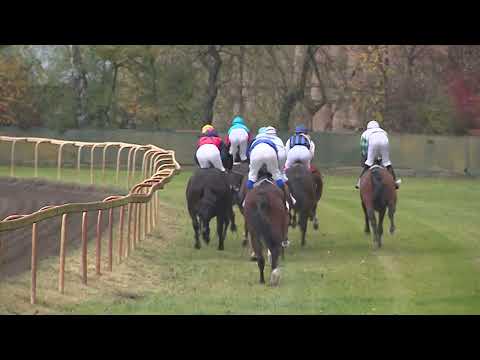 Dostihy Lysá nad Labem 11. 11. 2023 - 4. dostih - PPAM Handicap Radka Zvoníčka