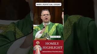 Hail Mary, Perpetual Virgin #homily #ShrineofDivineMercy #frchrisalar #homilyhighlight