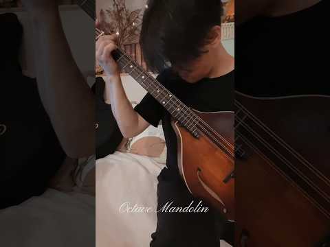 Octave mandolin #fiddlesticks #octave mandolin #mandolin #Blugrass#tompeng