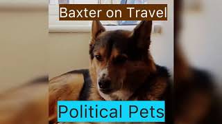 Where is Baxter going on holiday? Not with Trump! (Political Pets)