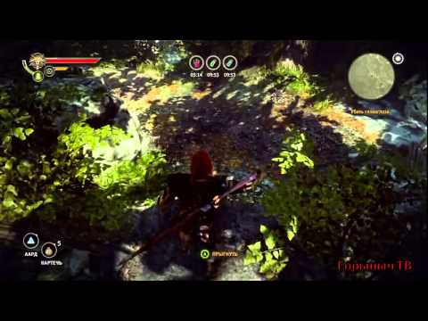 The Witcher 2. Прохождение. Часть 35. "Крабопаук"