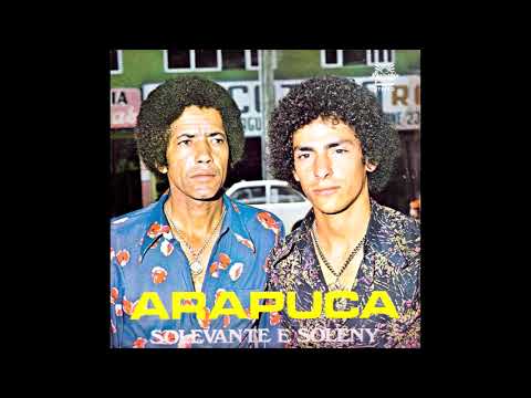 Arapuca video