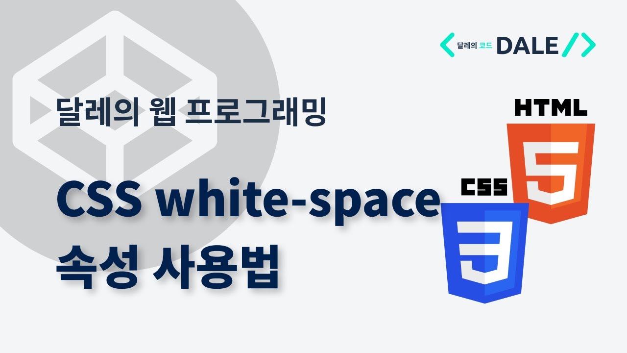 CSS의 white-space 속성 사용법