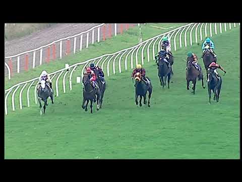 Trotto 11/01/2021 - 5ª corsa