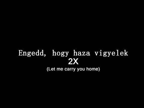 Tiësto ft. StarGate & Aloe Blacc - Carry You Home (Magyar Dalszöveg)