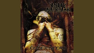 The Codex Necro