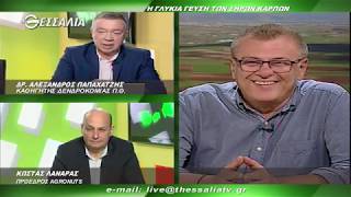 Θεσσαλών Γη   Η γλυκιά γεύση των ξηρών καρπών 7 10 2019