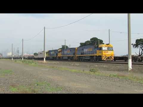 Pacific National train Tottenham