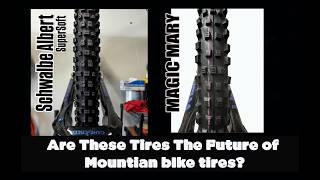 Schwalbe Albert & Magic Mary Long Term Review
