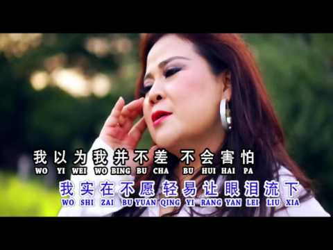 Liu lang ji 流浪记 - Wang Ie Ling 王玉莲