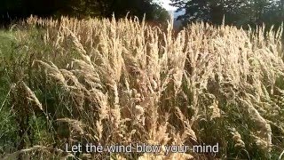 Mosskin - Ladakh ft. Maok (OFFICIAL MUSIC VIDEO) - Time Left Beh