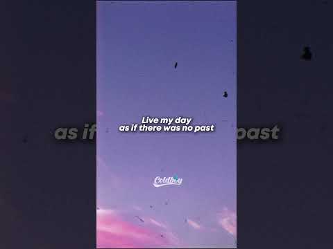Zara Larsson - Lush Life (Lyrics)