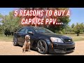 5 Reasons You Should Buy a Caprice PPV!!!